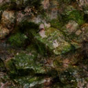 Mossy rock-face